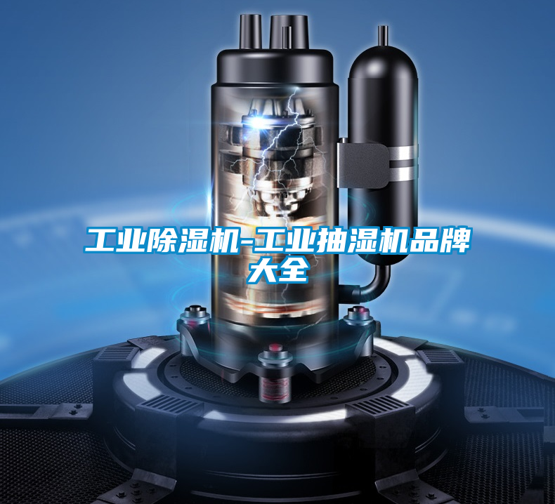 工业黄瓜视频下载污机-工业抽湿机品牌大全