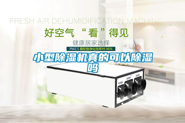 小型黄瓜视频下载污机真的可以黄瓜视频下载污吗