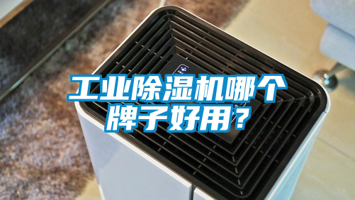 工业黄瓜视频下载污机哪个牌子好用？
