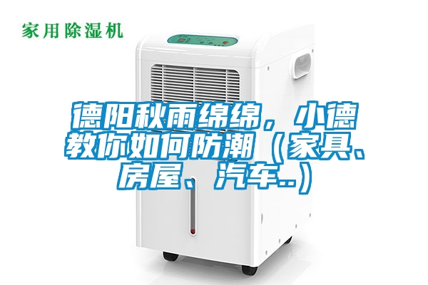 德阳秋雨绵绵，小德教你如何防潮（家具、房屋、汽车..）
