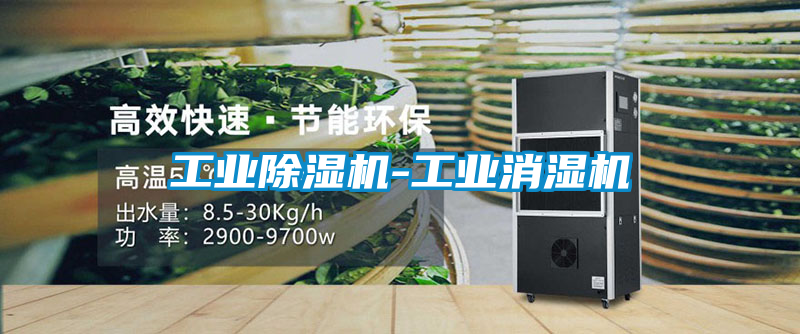 工业黄瓜视频下载污机-工业消湿机