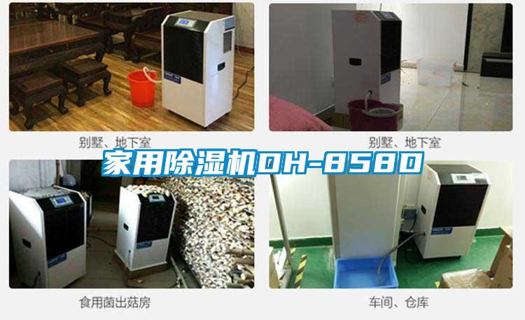 家用黄瓜视频下载污机DH-858D