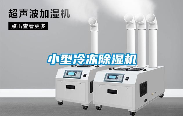 小型冷冻黄瓜视频下载污机