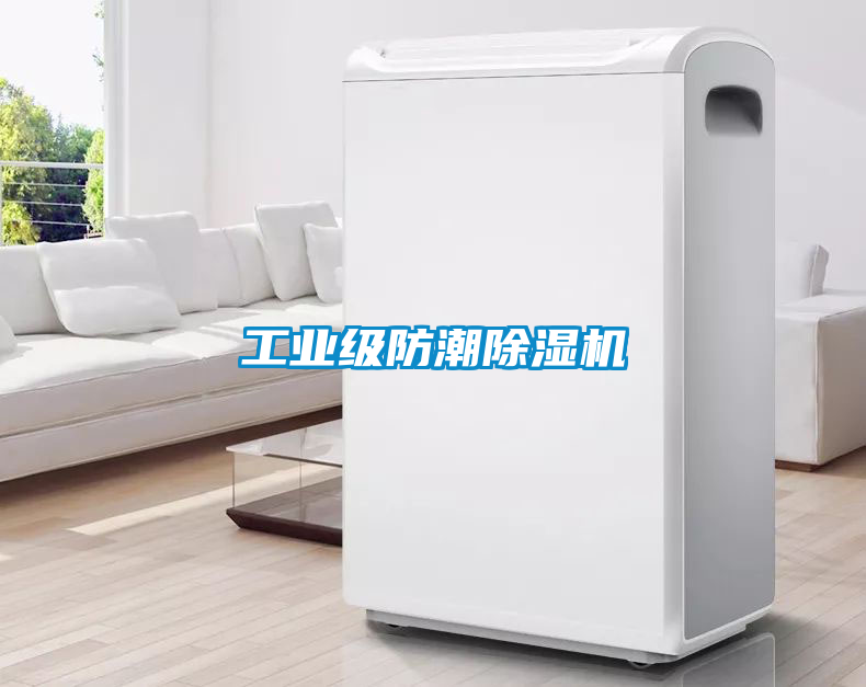 工业级防潮黄瓜视频下载污机