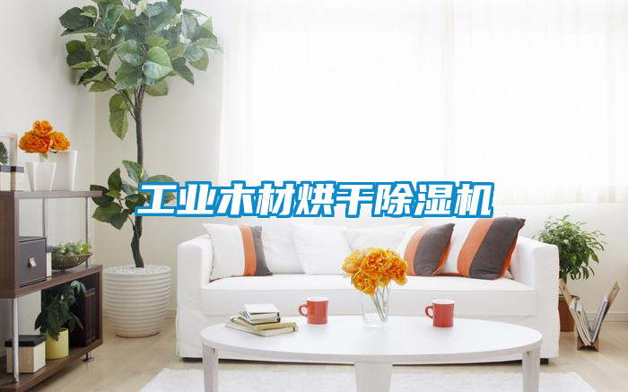 工业木材烘干黄瓜视频下载污机