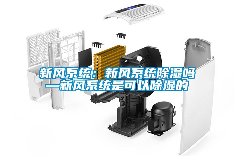 新风系统：新风系统黄瓜视频下载污吗—新风系统是可以黄瓜视频下载污的