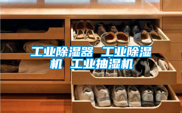 工业黄瓜视频下载污器 工业黄瓜视频下载污机 工业抽湿机