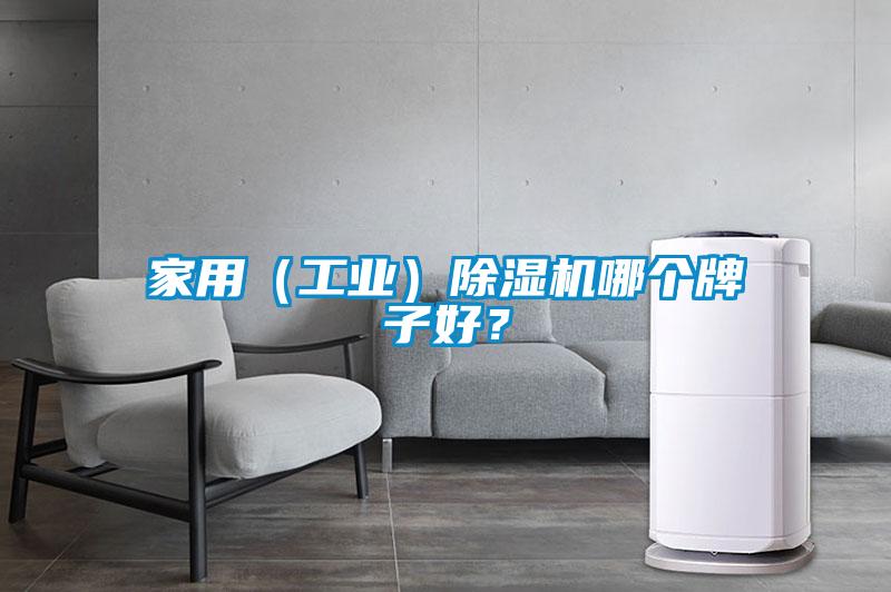家用（工业）黄瓜视频下载污机哪个牌子好？