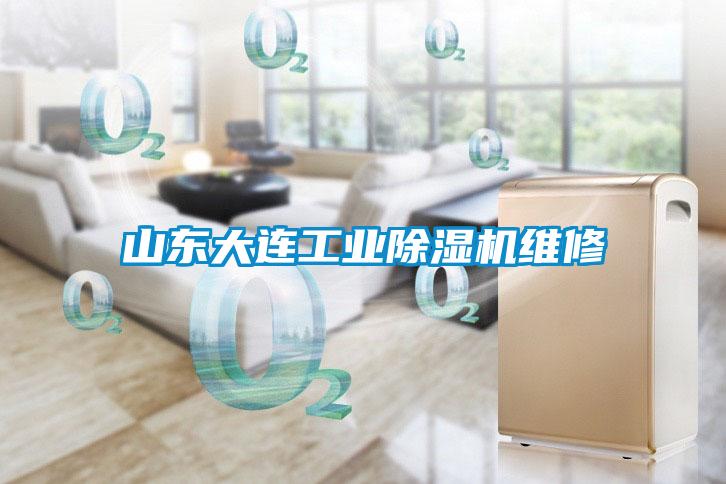 山东大连工业黄瓜视频下载污机维修