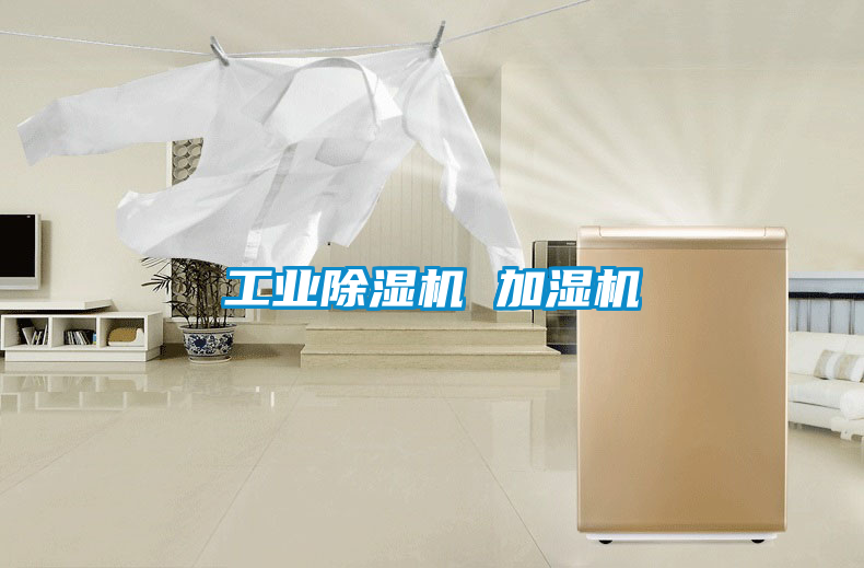工业黄瓜视频下载污机 加湿机