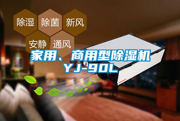 家用、商用型黄瓜视频下载污机YJ-90L