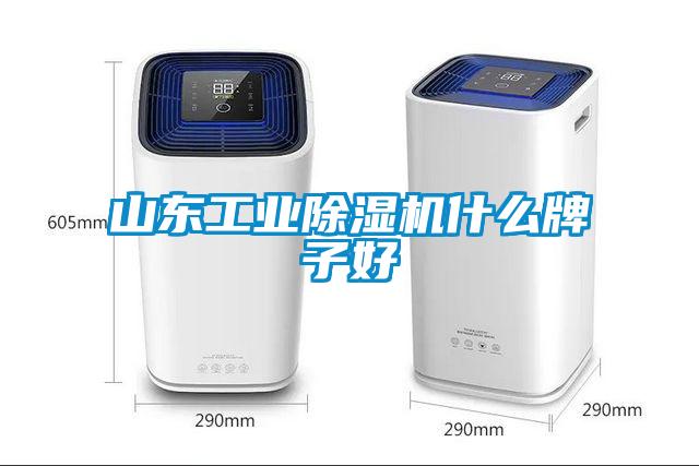 山东工业黄瓜视频下载污机什么牌子好