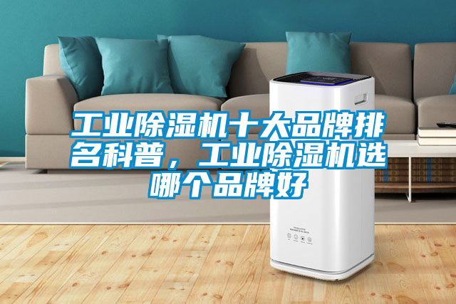 工业黄瓜视频下载污机十大品牌排名科普，工业黄瓜视频下载污机选哪个品牌好