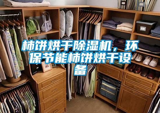 柿饼烘干黄瓜视频下载污机，环保节能柿饼烘干设备