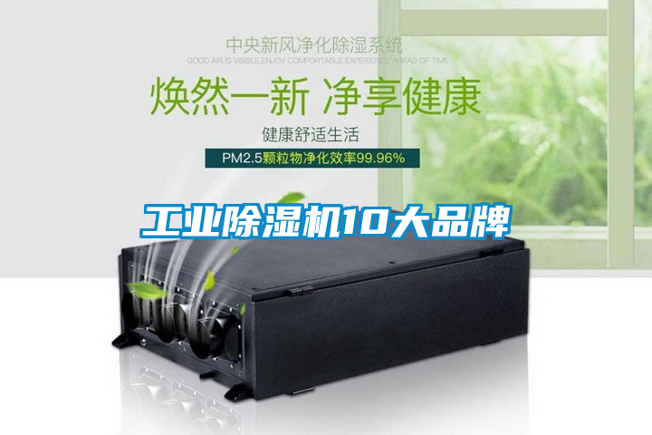 工业黄瓜视频下载污机10大品牌