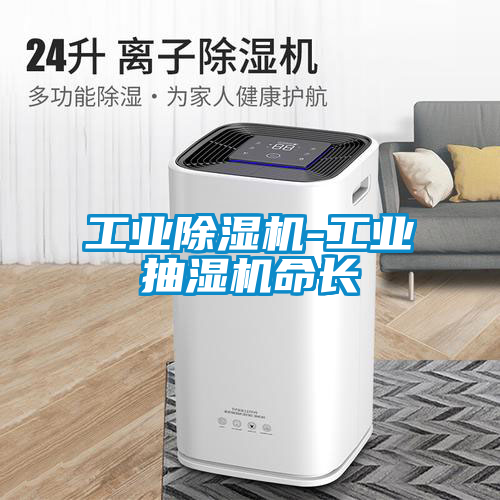 工业黄瓜视频下载污机-工业抽湿机命长