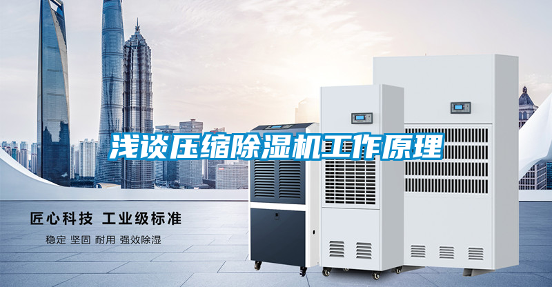浅谈压缩黄瓜视频下载污机工作原理