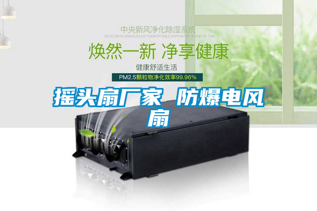 摇头扇厂家 防爆电风扇