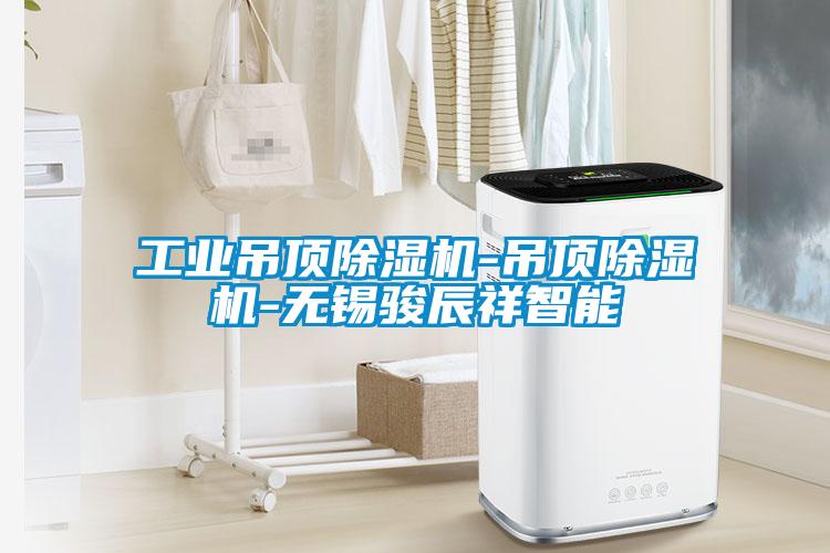 工业吊顶黄瓜视频下载污机-吊顶黄瓜视频下载污机-无锡骏辰祥智能
