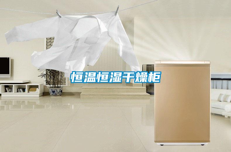 恒温恒湿干燥柜