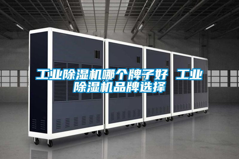 工业黄瓜视频下载污机哪个牌子好 工业黄瓜视频下载污机品牌选择