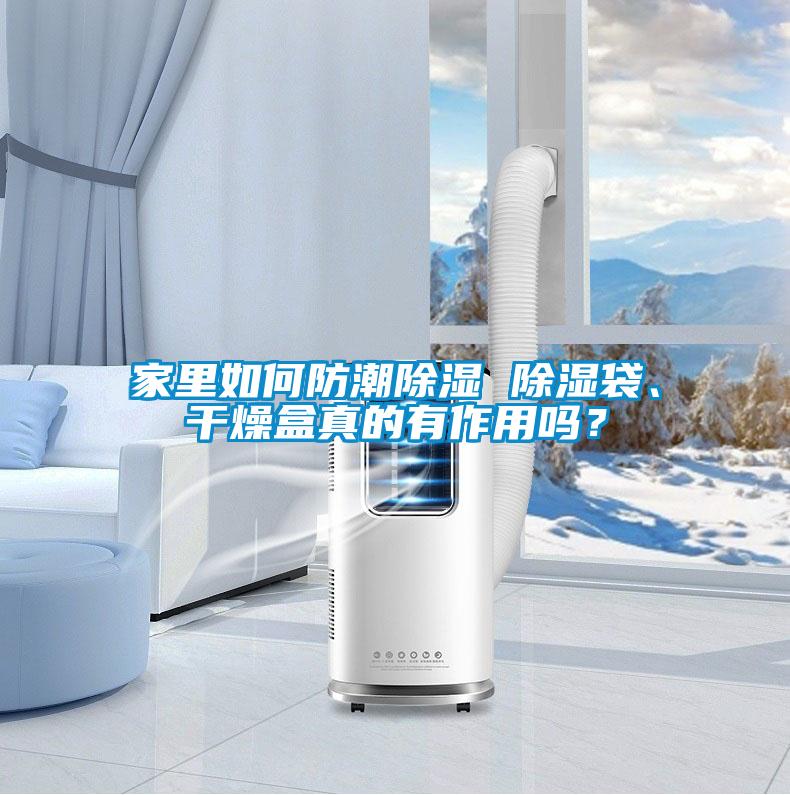 家里如何防潮黄瓜视频下载污 黄瓜视频下载污袋、干燥盒真的有作用吗？