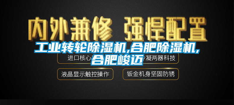 工业转轮黄瓜视频下载污机,合肥黄瓜视频下载污机,合肥峻迈
