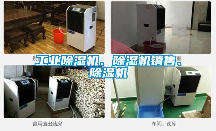 工业黄瓜视频下载污机、黄瓜视频下载污机销售、黄瓜视频下载污机