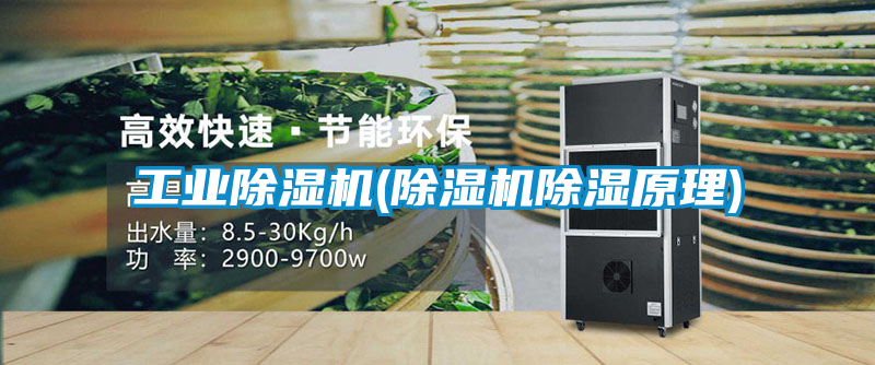 工业黄瓜视频下载污机(黄瓜视频下载污机黄瓜视频下载污原理)