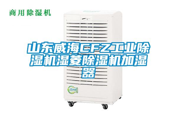山东威海CFZ工业黄瓜视频下载污机湿菱黄瓜视频下载污机加湿器
