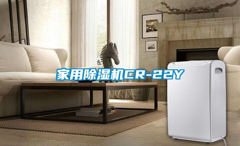 家用黄瓜视频下载污机CR-22Y