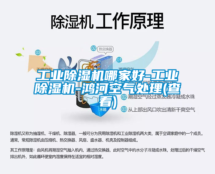 工业黄瓜视频下载污机哪家好-工业黄瓜视频下载污机-鸿河空气处理(查看)