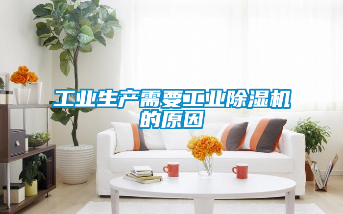 工业生产需要工业黄瓜视频下载污机的原因