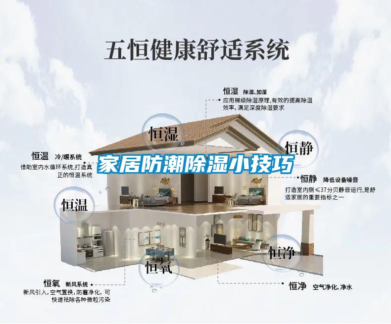 家居防潮黄瓜视频下载污小技巧