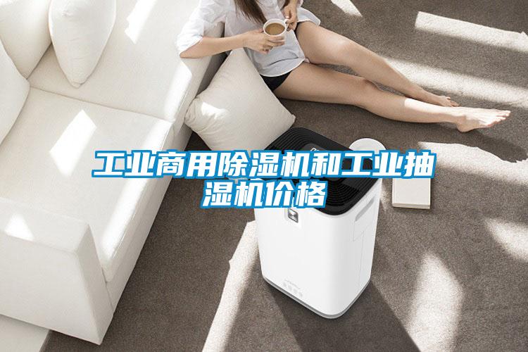 工业商用黄瓜视频下载污机和工业抽湿机价格