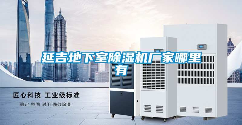 延吉地下室黄瓜视频下载污机厂家哪里有