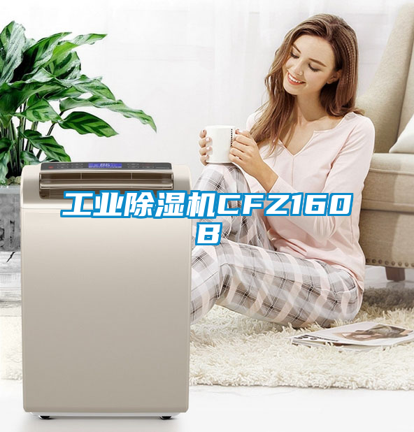 工业黄瓜视频下载污机CFZ160B