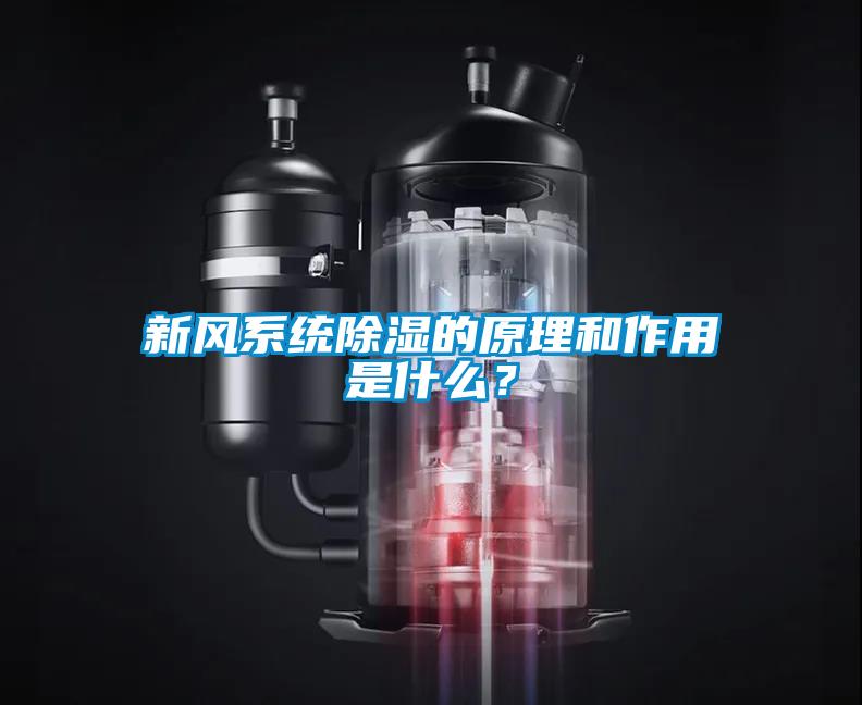 新风系统黄瓜视频下载污的原理和作用是什么？