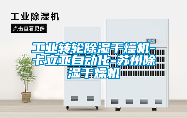 工业转轮黄瓜视频下载污干燥机-卡立亚自动化-苏州黄瓜视频下载污干燥机