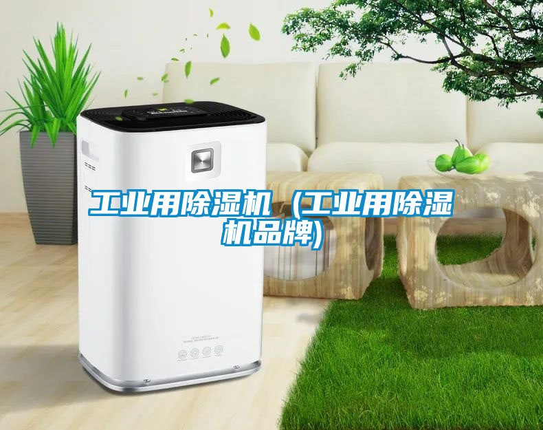 工业用黄瓜视频下载污机 (工业用黄瓜视频下载污机品牌)
