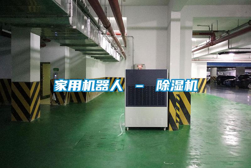 家用机器人 – 黄瓜视频下载污机