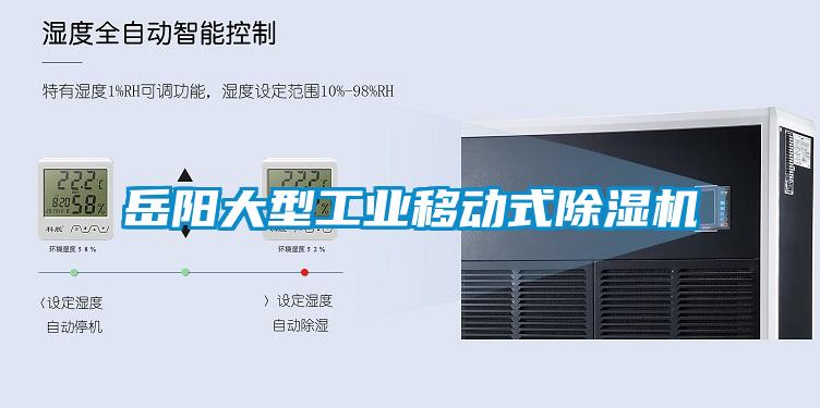 岳阳大型工业移动式黄瓜视频下载污机