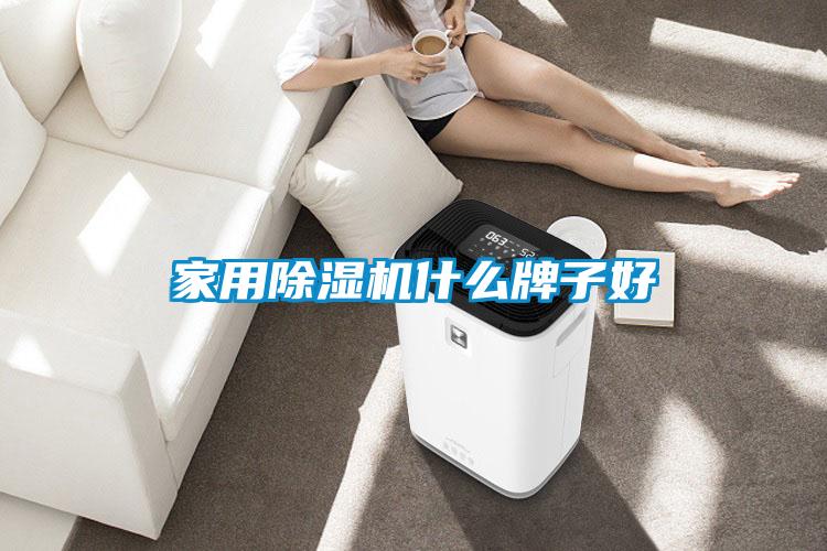 家用黄瓜视频下载污机什么牌子好