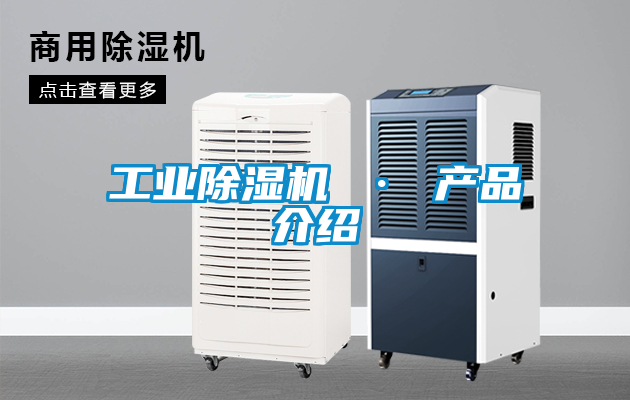 工业黄瓜视频下载污机 · 产品介绍