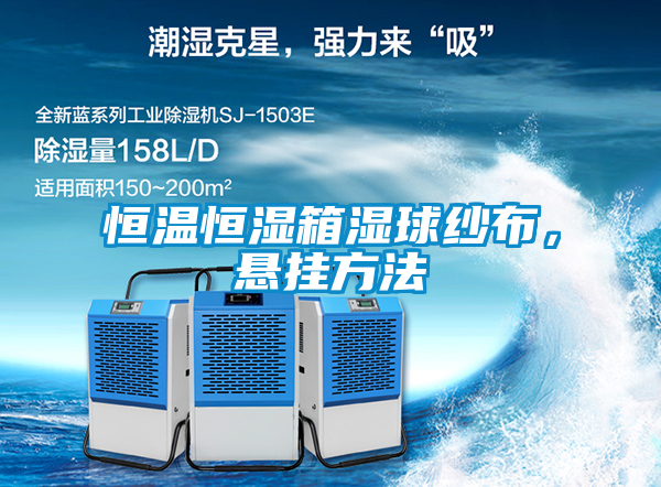 恒温恒湿箱湿球纱布，悬挂方法