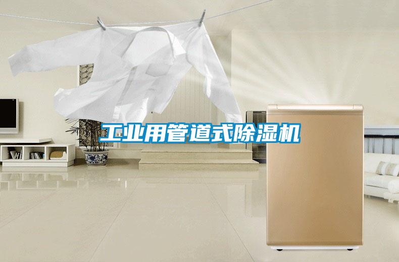 工业用管道式黄瓜视频下载污机