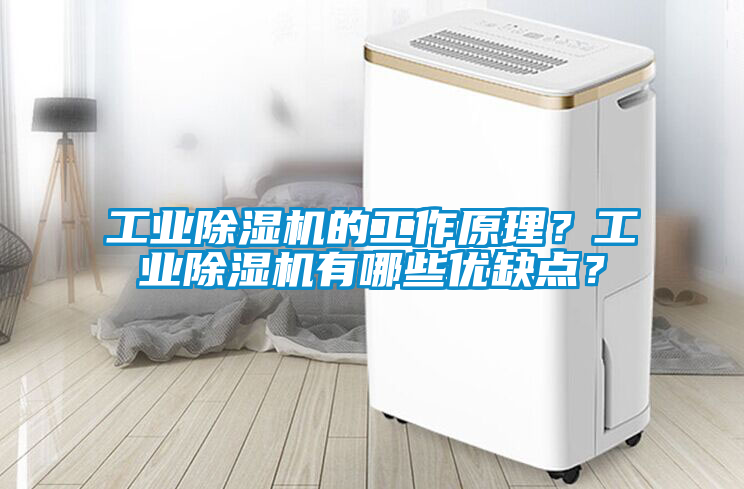 工业黄瓜视频下载污机的工作原理？工业黄瓜视频下载污机有哪些优缺点？