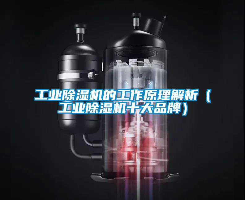 工业黄瓜视频下载污机的工作原理解析（工业黄瓜视频下载污机十大品牌）