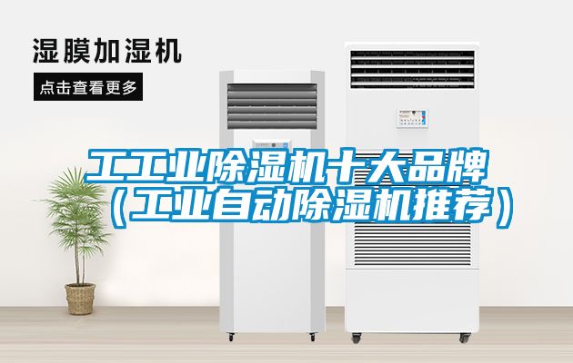 工工业黄瓜视频下载污机十大品牌（工业自动黄瓜视频下载污机推荐）