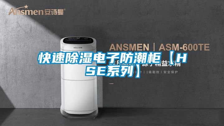 快速黄瓜视频下载污电子防潮柜【HSE系列】